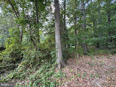 0 Long Leaf Ln unit MDSM2026514, Leonardtown, MD 20650 - photo 4