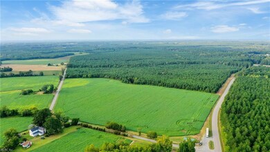 5+AC Ivor Rd, Ivor, VA 23866 - photo 7