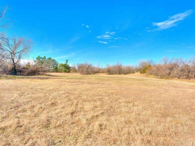 open area with wooded trees in bunches