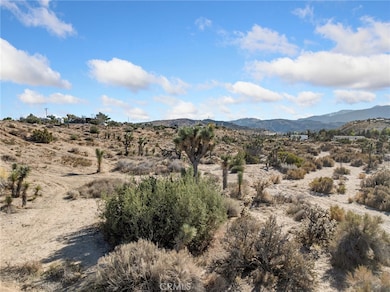 0 Malpaso Rd, Phelan, CA 92371 - photo 2