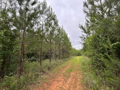 0 Mcdade Rd unit 23668134, Eatonton, GA 31024 - photo 3