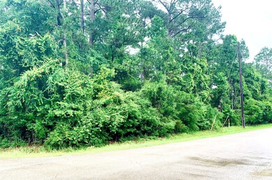 0000 Becky Ln, Magnolia, TX 77354 - photo 4