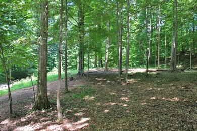 467 Harmony Ln, Burnside, KY 42519 - photo 3