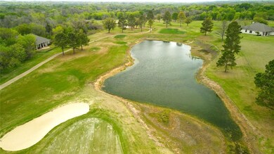 22074 Shady Grove Ct, Whitney, TX 76692 - photo 4