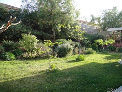 TOTAL backyard privacy
