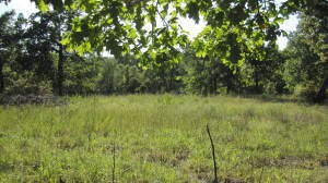 Beautiful Homesite
