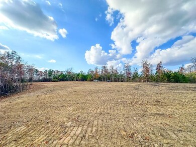 0 Firetower Rd unit 1, Centerville, TN 37033 - photo 6