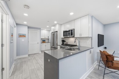 4 Coppersmith Way unit 2, Boston, MA 02128 - photo 7