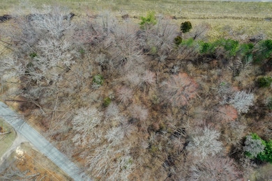 9604 9704 Community Hall Rd, New Buffalo Township, MI 49129 - photo 4