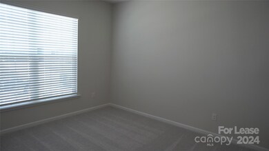 158 Pampas Place, Statesville, NC 28625 - photo 6