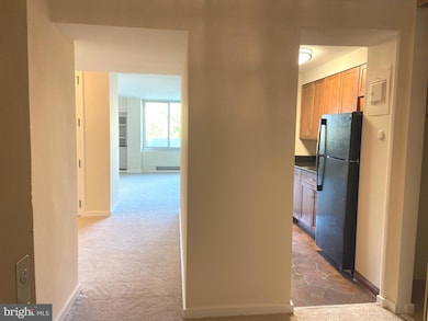 Hopkinson House unit 810, Philadelphia, PA 19106 - photo 4