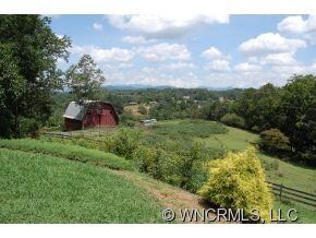 1129 Bear Creek Rd, Leicester, NC 28748 - photo 3