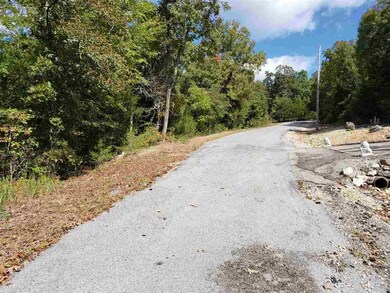 L-35, 36, B-7 Pahokee Dr, Cherokee Village, AR 72529 - photo 4