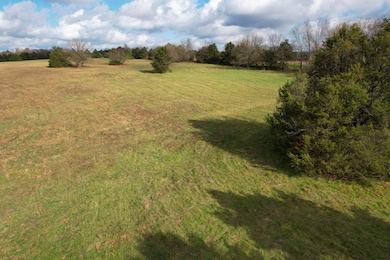 Track 3 E Farm Road 60, Franklin No. 2 Township, MO 65803 - photo 7