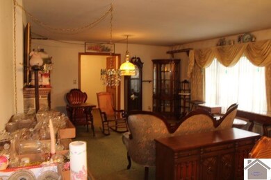 729 Lebanon St, Wingo, KY 42088 - photo 7