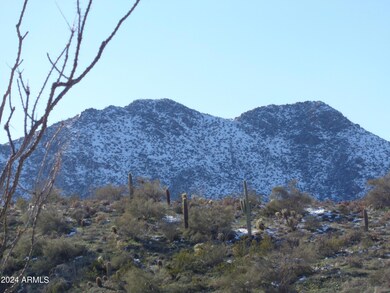 McDowell Mtns. in snow