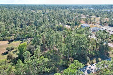 1405 W 14th St, Lehigh Acres, FL 33972 - photo 4