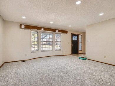 4060 E 115th Place, Thornton, CO 80233 - photo 6