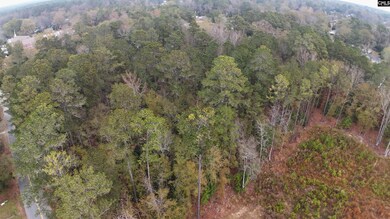 1319 Lake Shore Dr, Camden, SC 29020 - photo 5