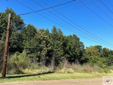 3001 Bender Rd, Texarkana, TX 75501 - photo 3