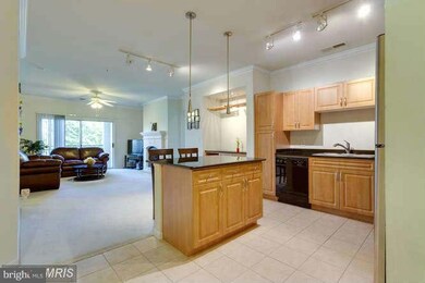 12917 Centre Park Cir unit 215, Herndon, VA 20171 - photo 4