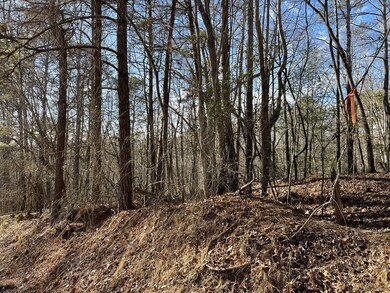 2458 Montage Dr, Ellijay, GA 30540 - photo 4