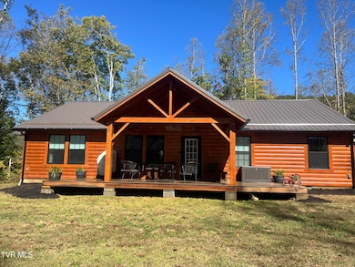 1575 Rice Creek Rd, Flag Pond, TN 37657 - photo 4