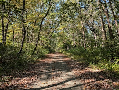 , 244th St, West Creek Township, IN 46376 - photo 3