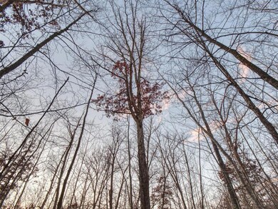 XXXX Aspen Hill Court Ct, Danbury, WI 54830 - photo 5