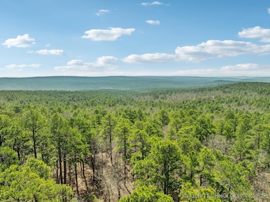 793 NW 187 Rd, Wilburton, OK 74578 - photo 3