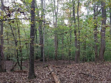 Tract 17 Red Rider Ln, Smyrna, SC 29743 - photo 2