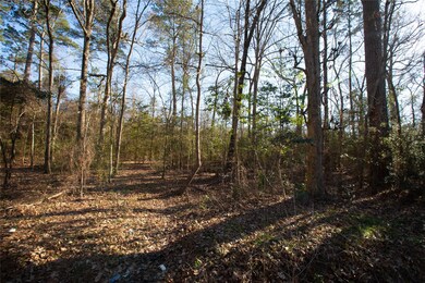 00 County Road 3812, Cleveland, TX 77328 - photo 4