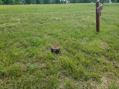 20180530_173327_resized
