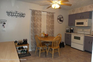 4811 Tenny St, Lansing, MI 48910 - photo 6