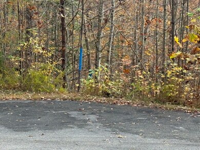 0 Bear Track Way unit 709747, Del Rio, TN 37727 - photo 6