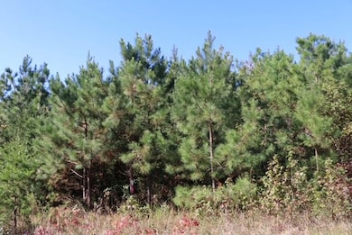 14504 Farmville Rd, Meherrin, VA 23954 - photo 2