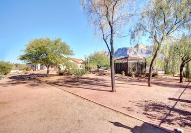 front yard