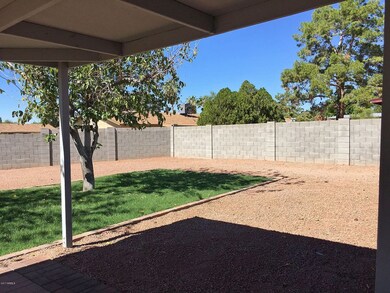 Huge Backyard!
