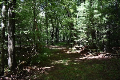 LOT 44 Synacia Dr, Mineral Bluff, GA 30559 - photo 6