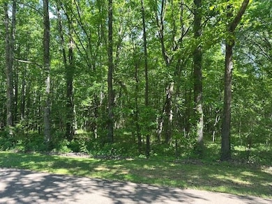 View of local wilderness featuring a view of trees