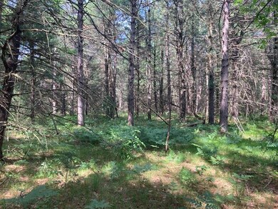 4825 W 8th St, Baldwin, MI 49304 - photo 2