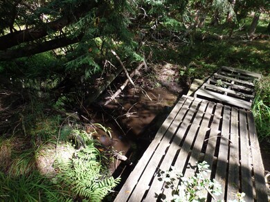 Creek