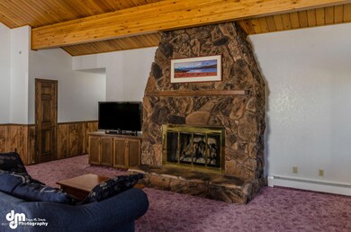 3309 North Shore Drive-large-008-Firepla