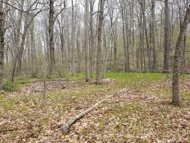 XO Frontage Rd, Ashford, CT 06278 - photo 3