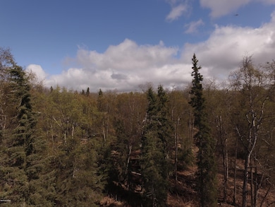 DJI_0029