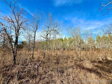 0 4540 Rd, Vian, OK 74962 - photo 5