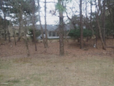 11B Drake St unit 53, Whiting, NJ 08759 - photo 3