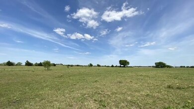 2550 County Road 904, Joshua, TX 76058 - photo 6