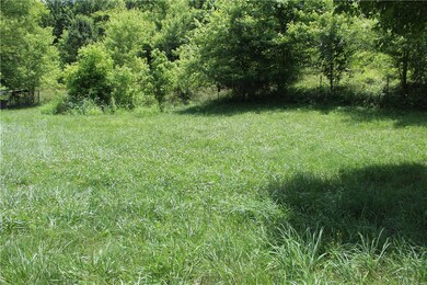 Old fence runs through back of property is NOT end of property