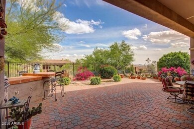 Backyard (1)
